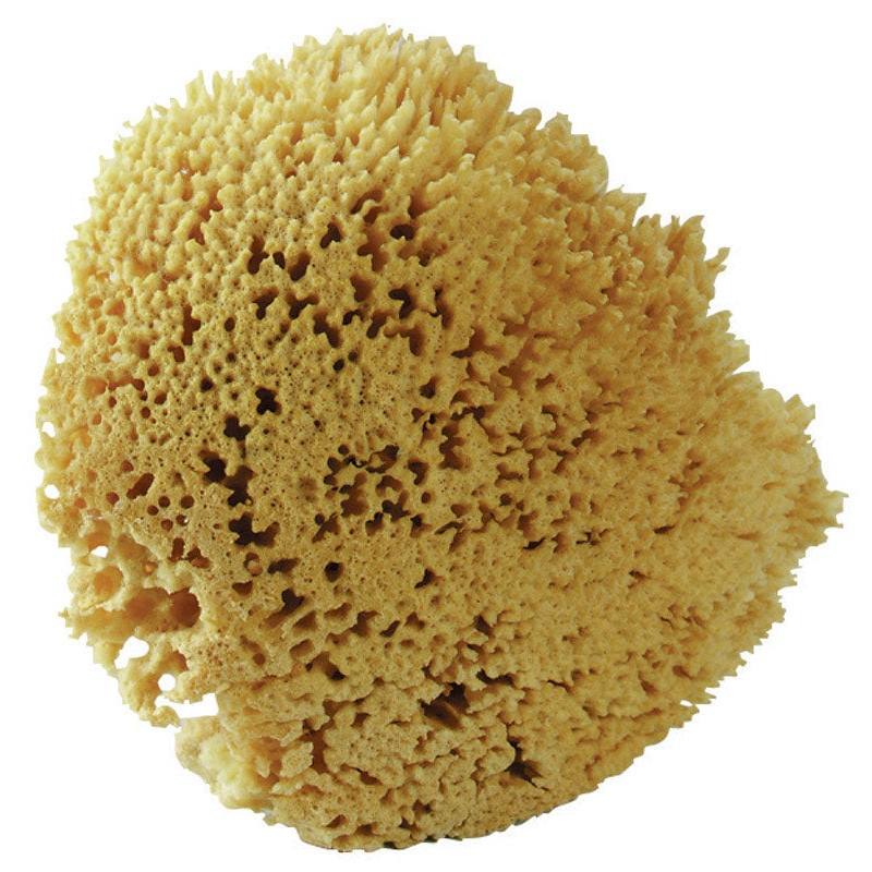 Acme The Natural Sea Wool Sponge 7 in. L x 8 in. W 1 pk