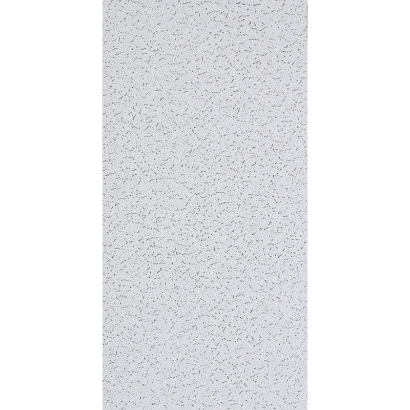 USG Fifth Avenue Series 280 CTN Ceiling Panel, 48 in L, 24 in W, 5/8 in Thick, Directional Fissured Pattern, White