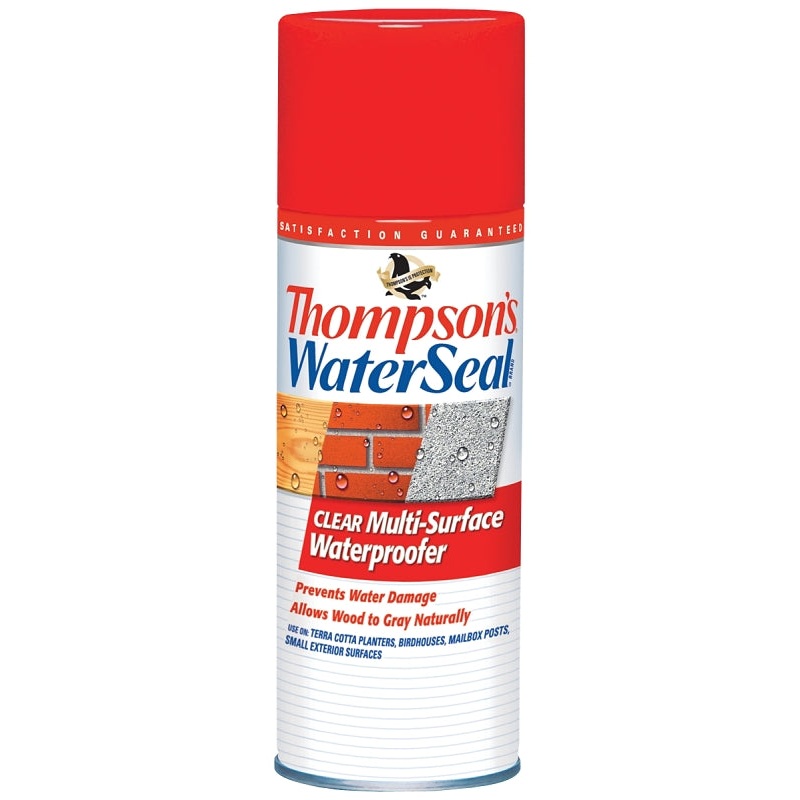 Thompson’s WaterSeal TH.10100-18 Waterproofer, Clear, 12 oz, Aerosol Can