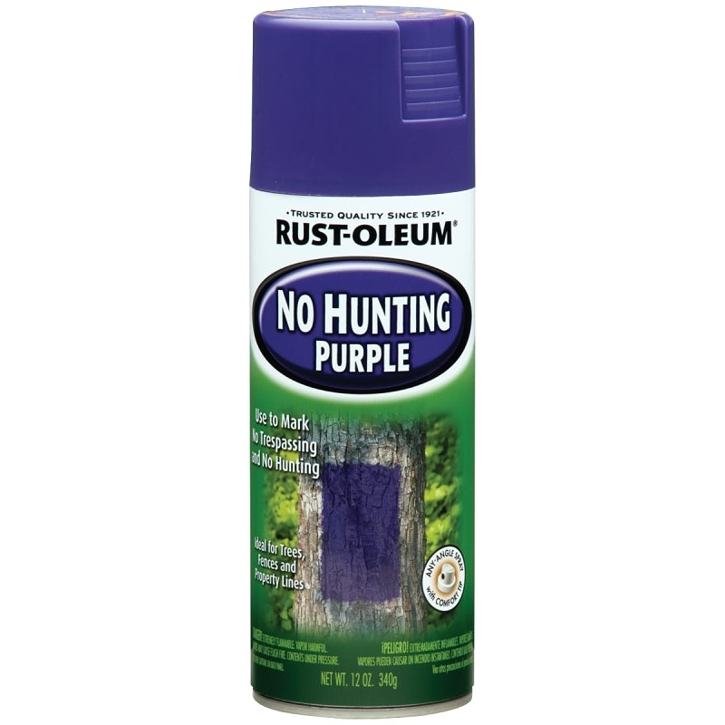 Rust-Oleum 270970 Spray Paint, Purple, 12 oz, Can
