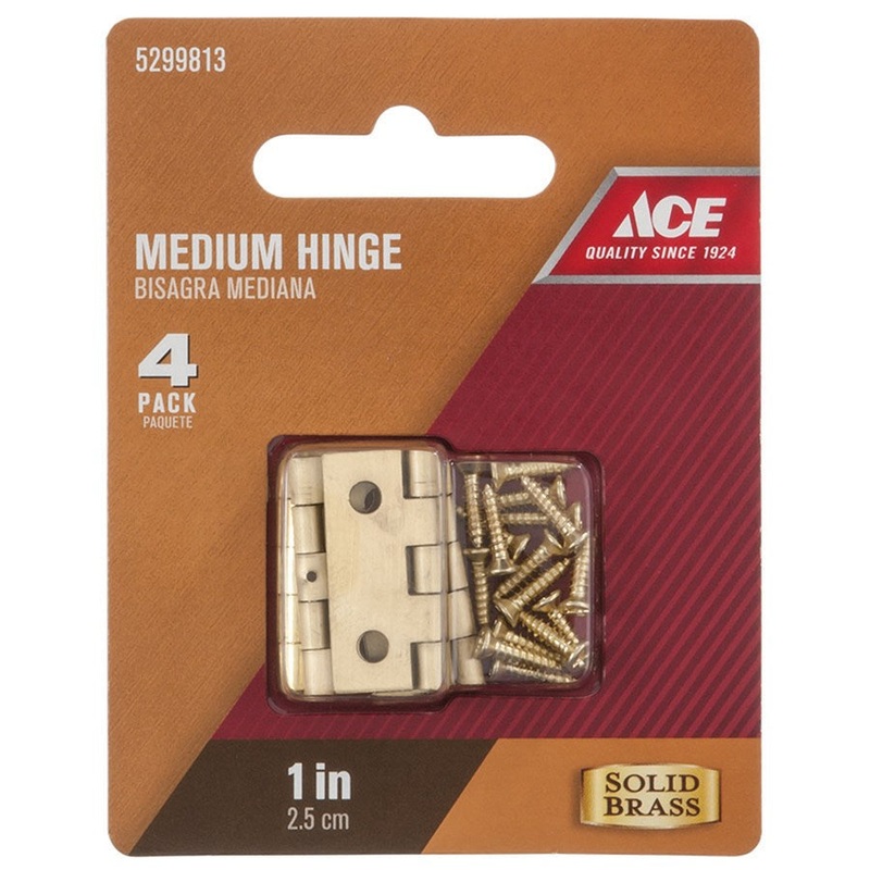 Ace 1 in. L Medium Hinge Polished Brass