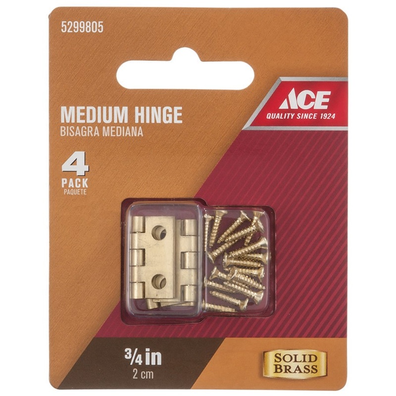 Ace 3/4 in. L Medium Hinge Polished Brass