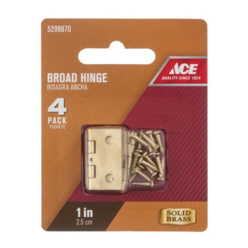 Ace 1 in. L Broad Hinge Polished Brass