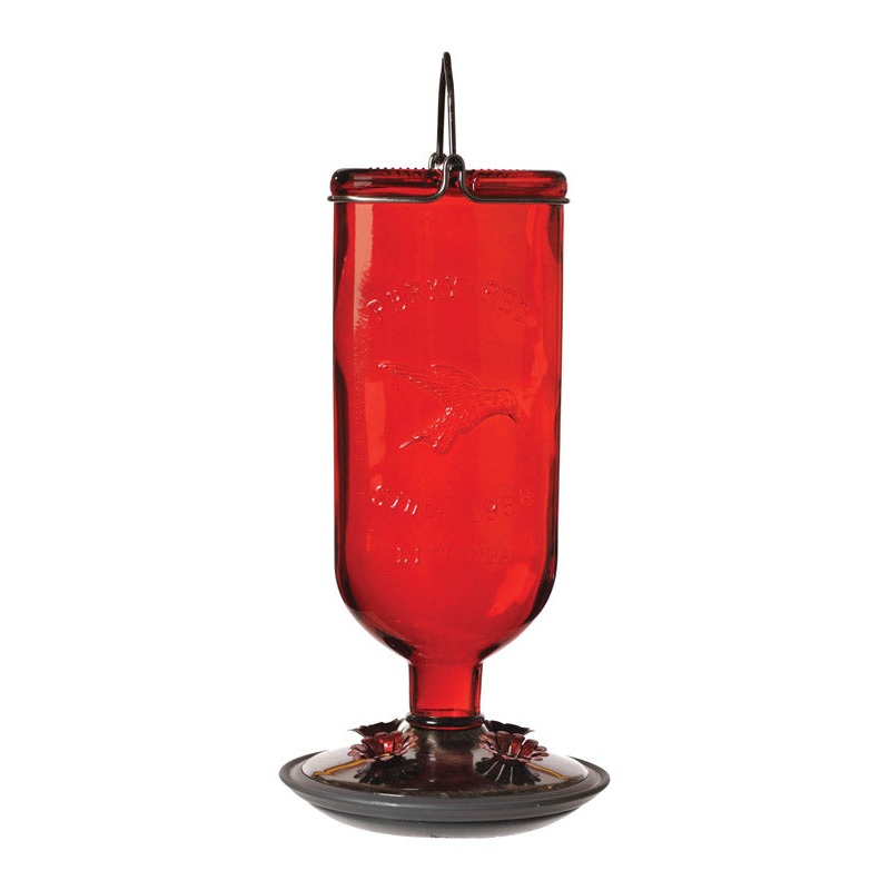 Perky-Pet Hummingbird 16 oz Glass/Metal/Plastic Nectar Feeder 4 ports