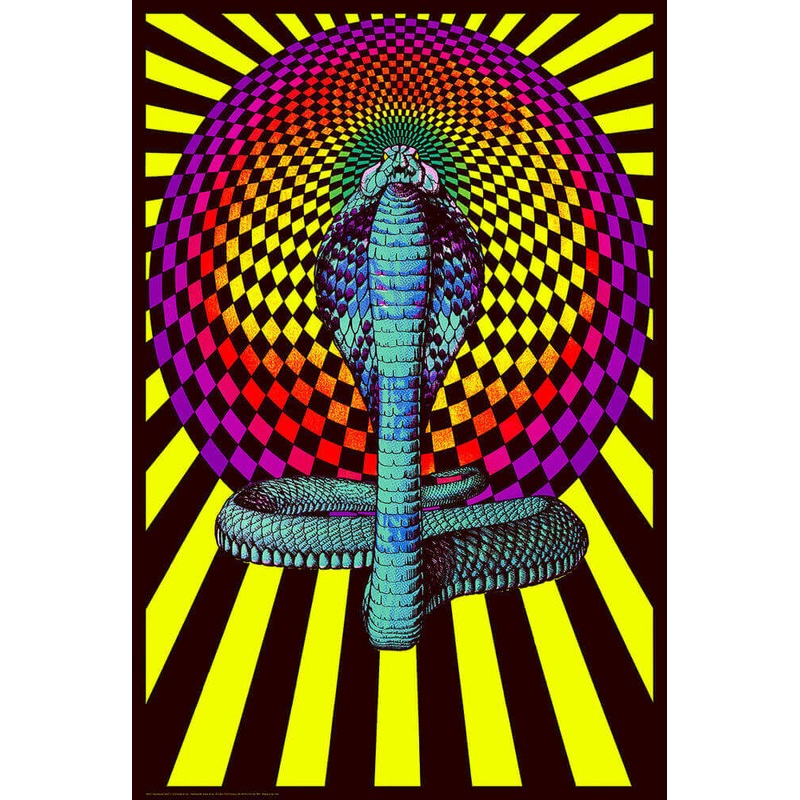 Spellbound Cobra