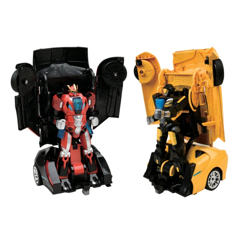 Auto Moto: Battling Robots