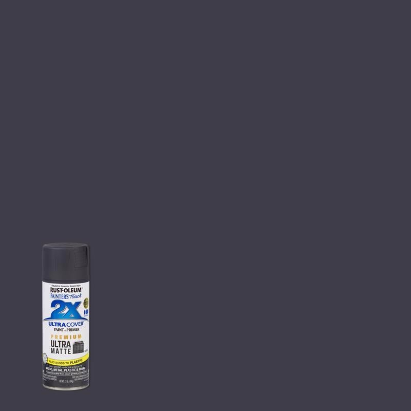 Rust-Oleum Painter’s Touch 2X Ultra Cover Ultra Matte Slate Paint+Primer Spray Paint 12 oz