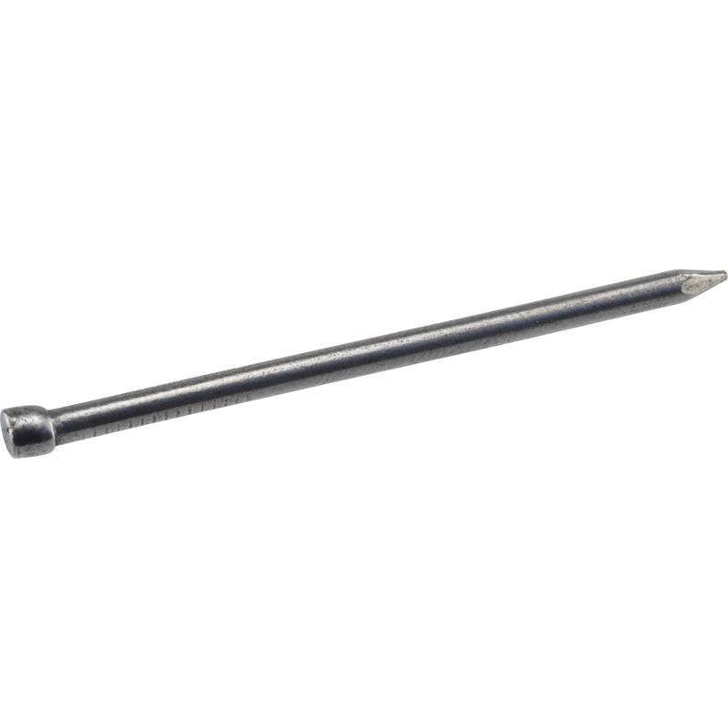 HILLMAN 6D 2 in. Finishing Polished Steel Nail Large Head