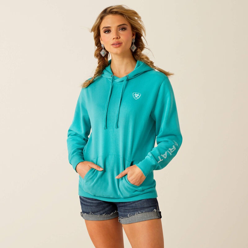 Ariat Logo 2.0 Hoodie (Latigo Bay) Size L