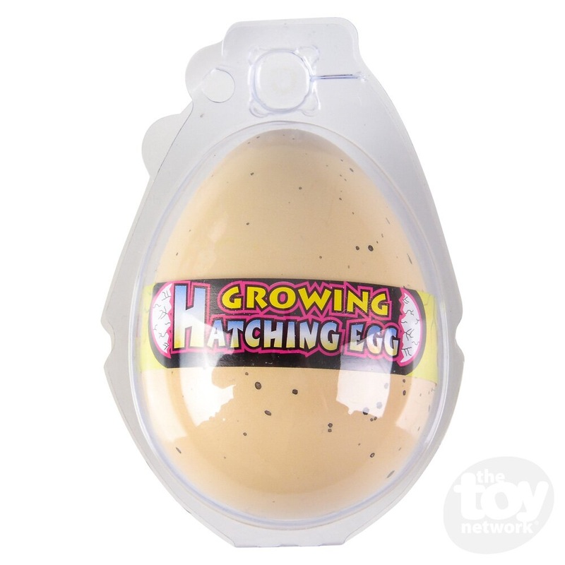 2.5 Growing Turtle Egg