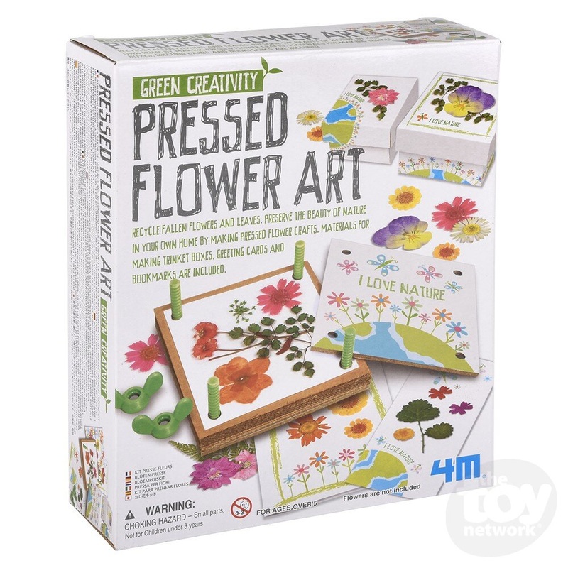 Green Creativity/Pressed Flower Art