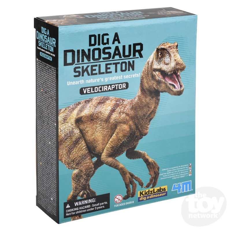 KidzLabs /Dig A Dinosaur Skeleton/Velociraptor