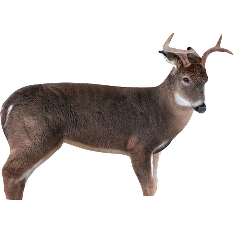 Montana Decoy The Freshman Deer Decoy