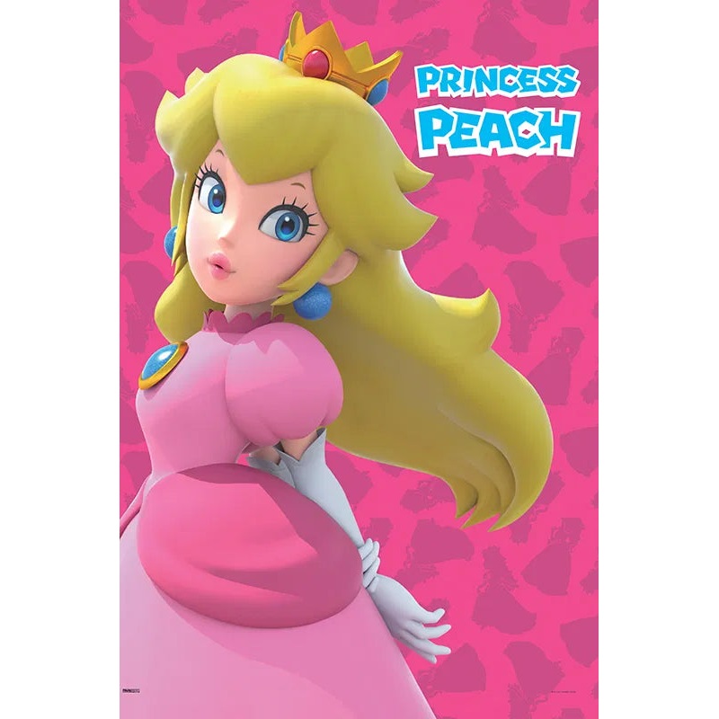 Super Mario  The Princess