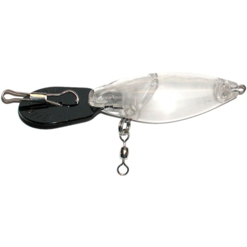 Brad’s Bait Divers Clear
