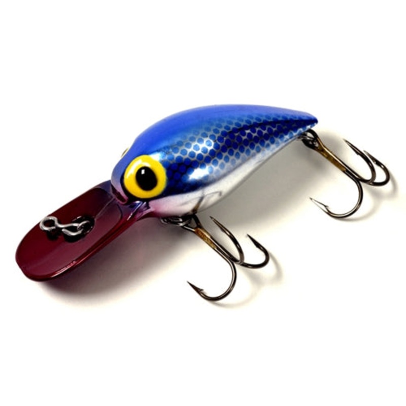 Brad’s Wiggler Series Magnum Wiggler Blue Pirate