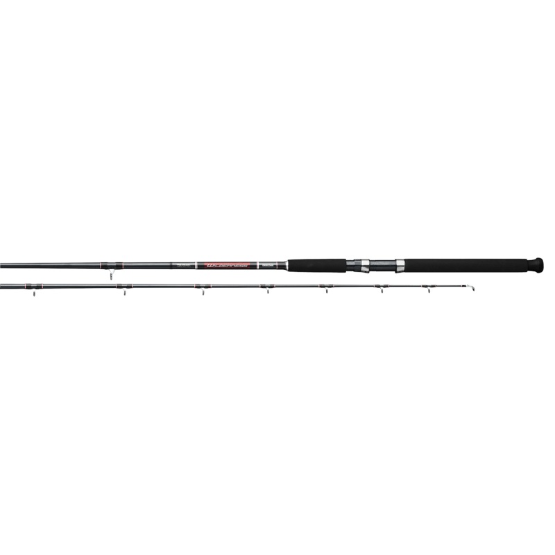 Daiwa Wilderness Spec Rod 2 Pieces