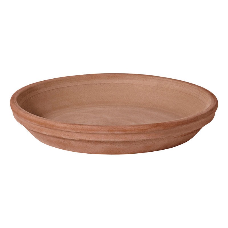 Deroma 1.2 in. H X 1.2 in. D X 9.3 in. D Clay Traditional Plant Saucer Chocolate