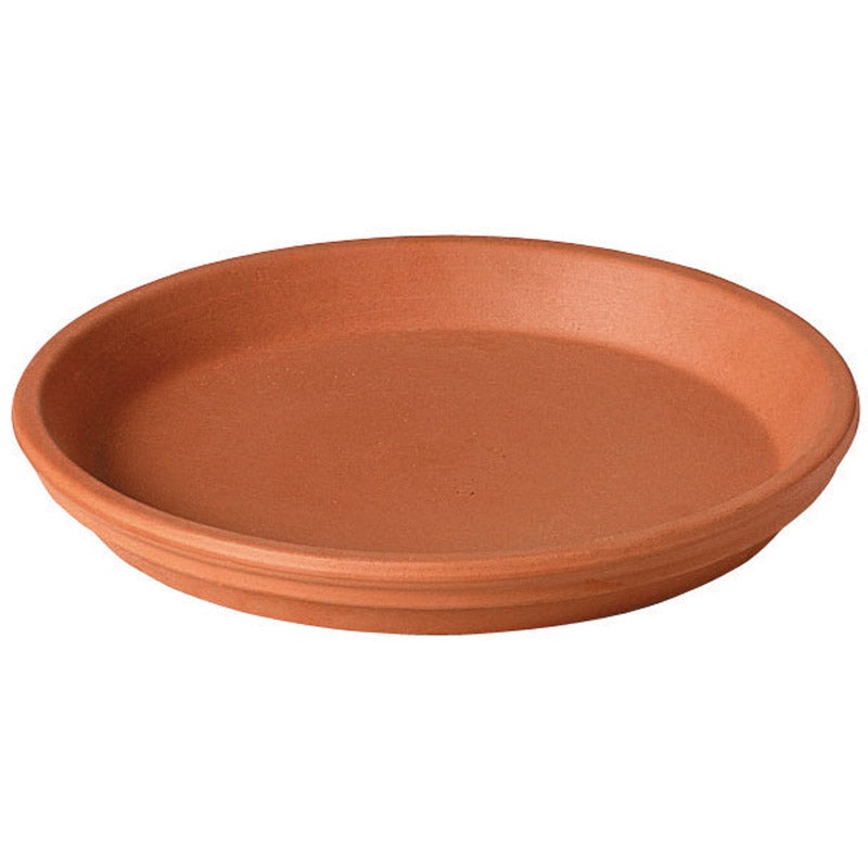 Deroma 6 in. D Clay Traditional Plant Saucer Terracotta