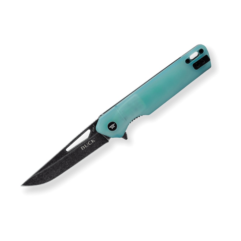 Buck 239 Infusion Modified Tanto Knife – Natural