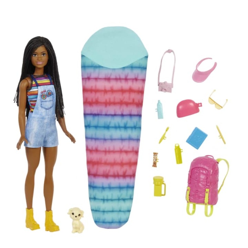 Barbie It Takes Two Brooklyn Camping Doll