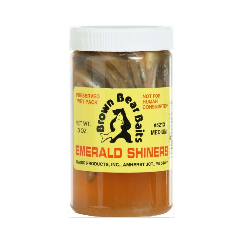 Mikes Magic Medium Minnows 3oz