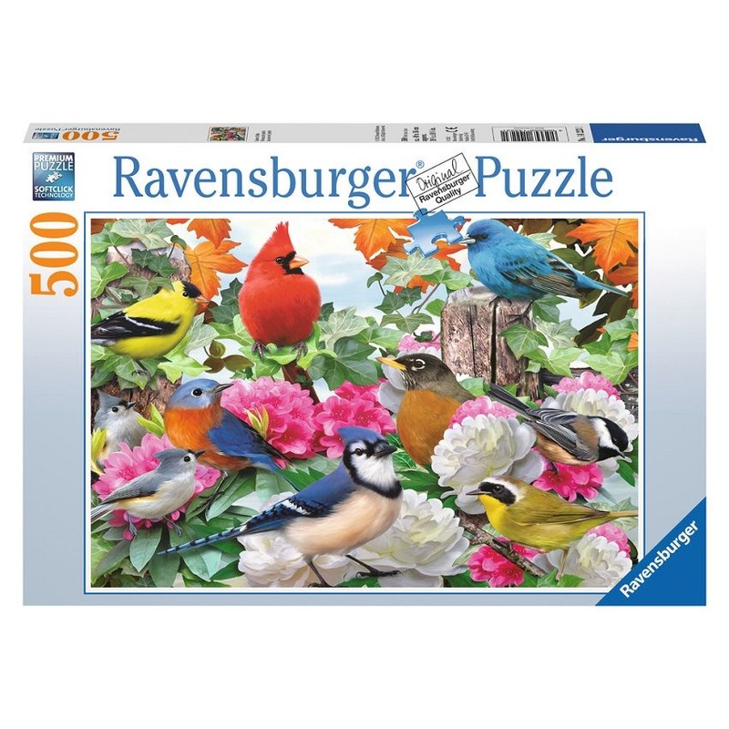 Garden Birds – 500 Piece