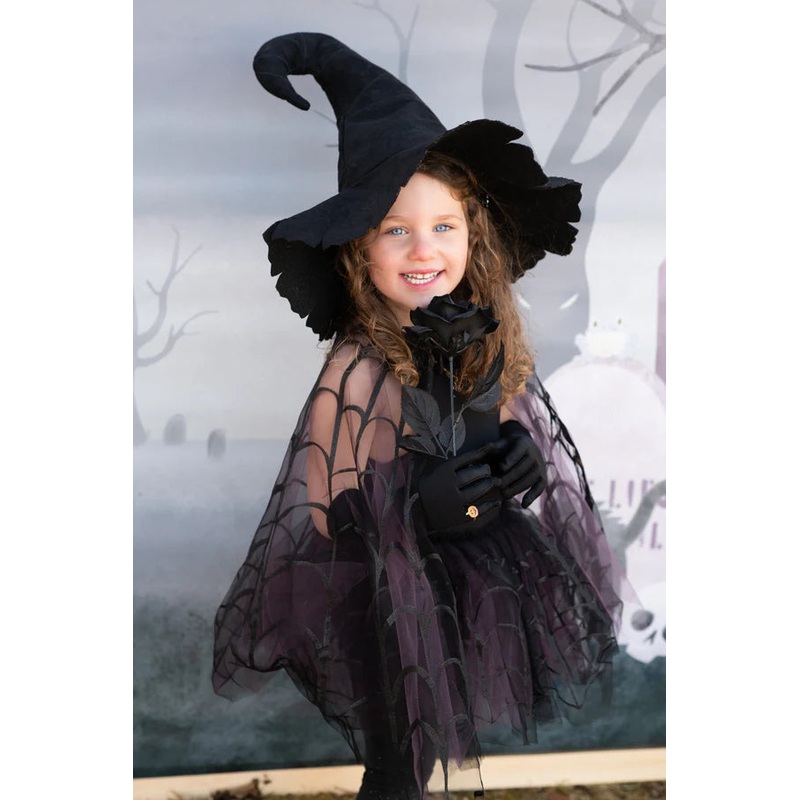 Spider Witch Tutu and Cape